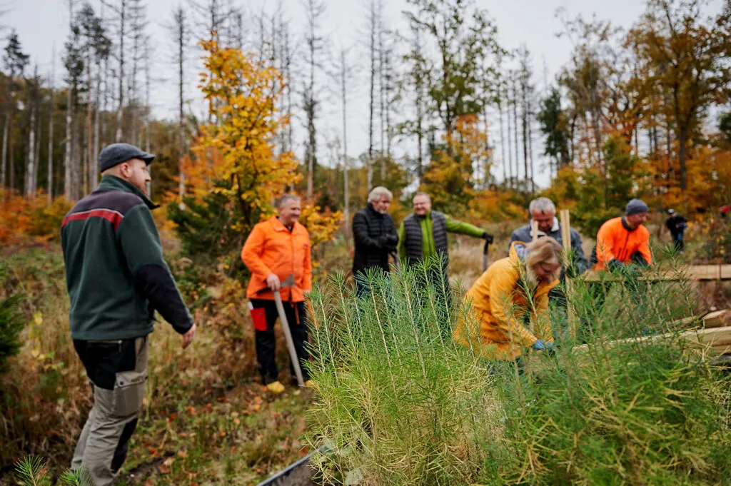 Herbstliche Reportage im verregneten Gemeindewald Neukirch
