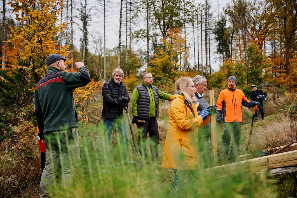 Herbstliche Reportage im verregneten Gemeindewald Neukirch