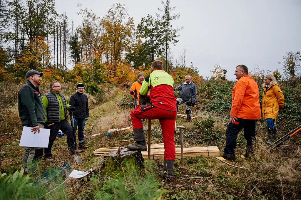 Herbstliche Reportage im verregneten Gemeindewald Neukirch