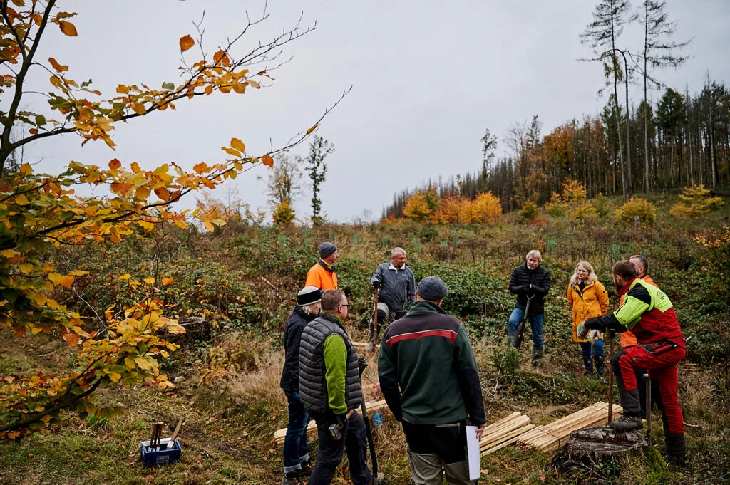 Herbstliche Reportage im verregneten Gemeindewald Neukirch