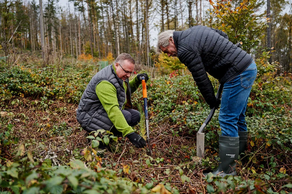 Herbstliche Reportage im verregneten Gemeindewald Neukirch