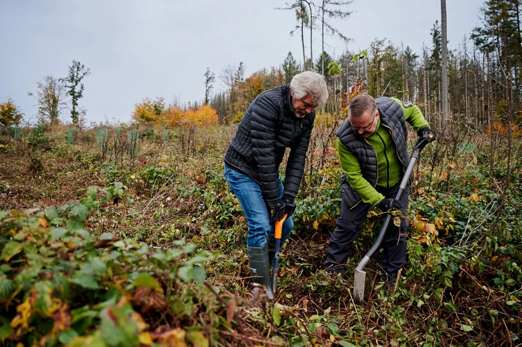 Herbstliche Reportage im verregneten Gemeindewald Neukirch