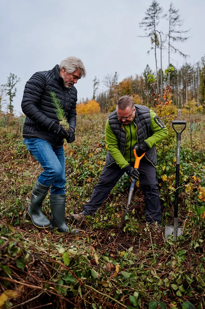 Herbstliche Reportage im verregneten Gemeindewald Neukirch
