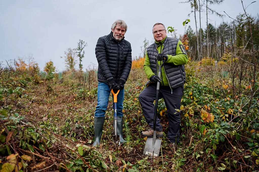 Herbstliche Reportage im verregneten Gemeindewald Neukirch