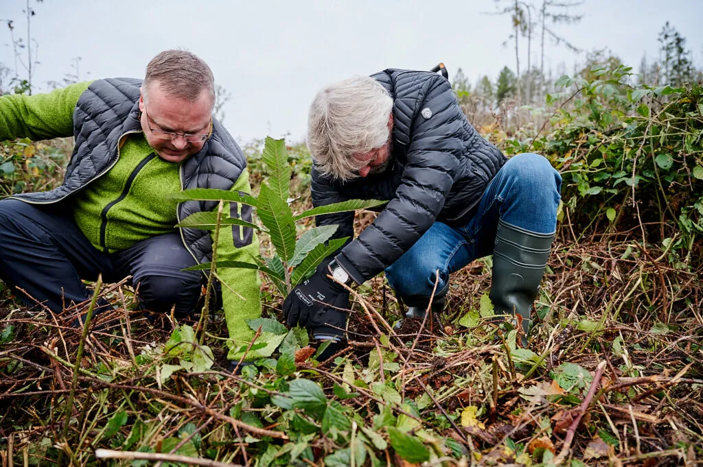 Herbstliche Reportage im verregneten Gemeindewald Neukirch